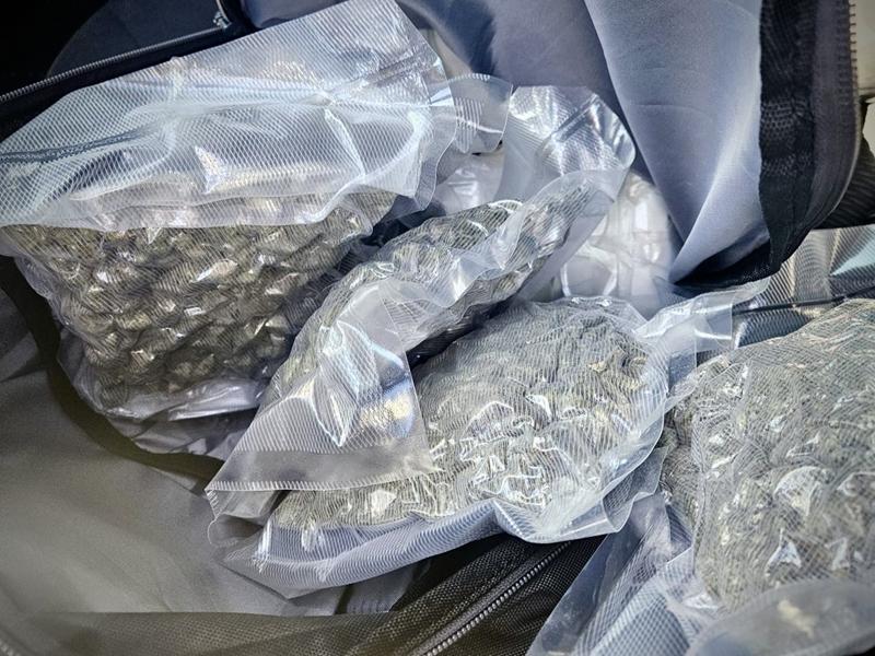 narkotyki piła - KPP w Pile