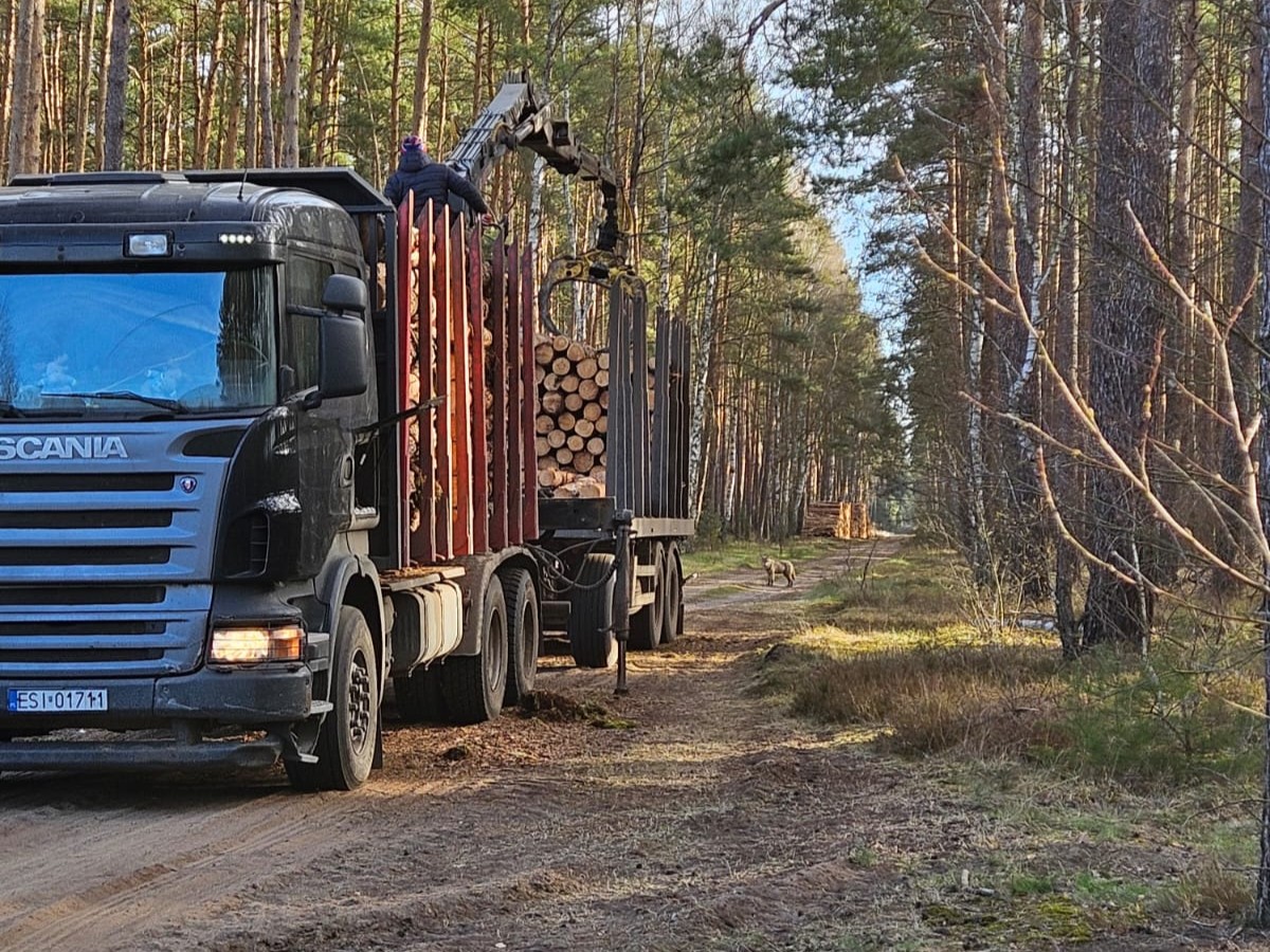 Nadleśnictwo Oborniki