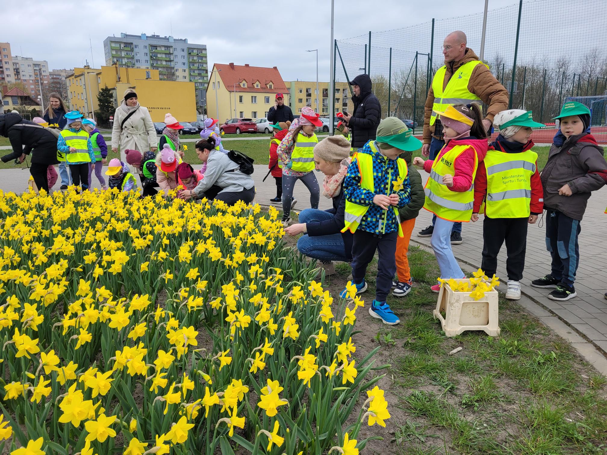 Żonkile Piła - Marek Wolski - Radio Poznań