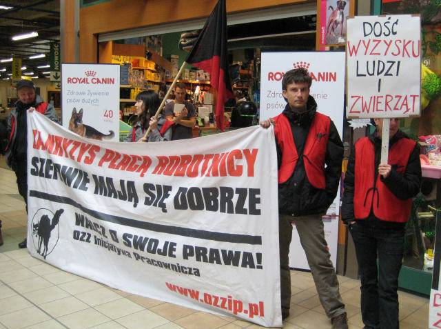 zielony bazar 2 - Anna Skoczek