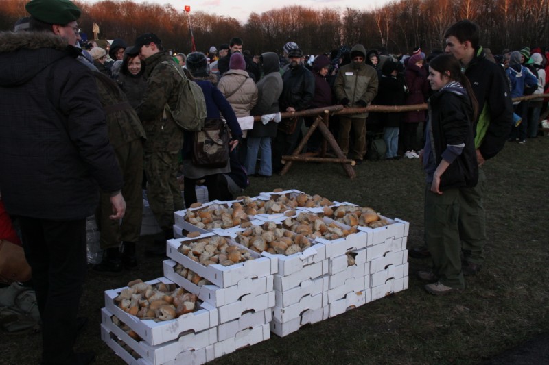 Grzegorz Maciejewski