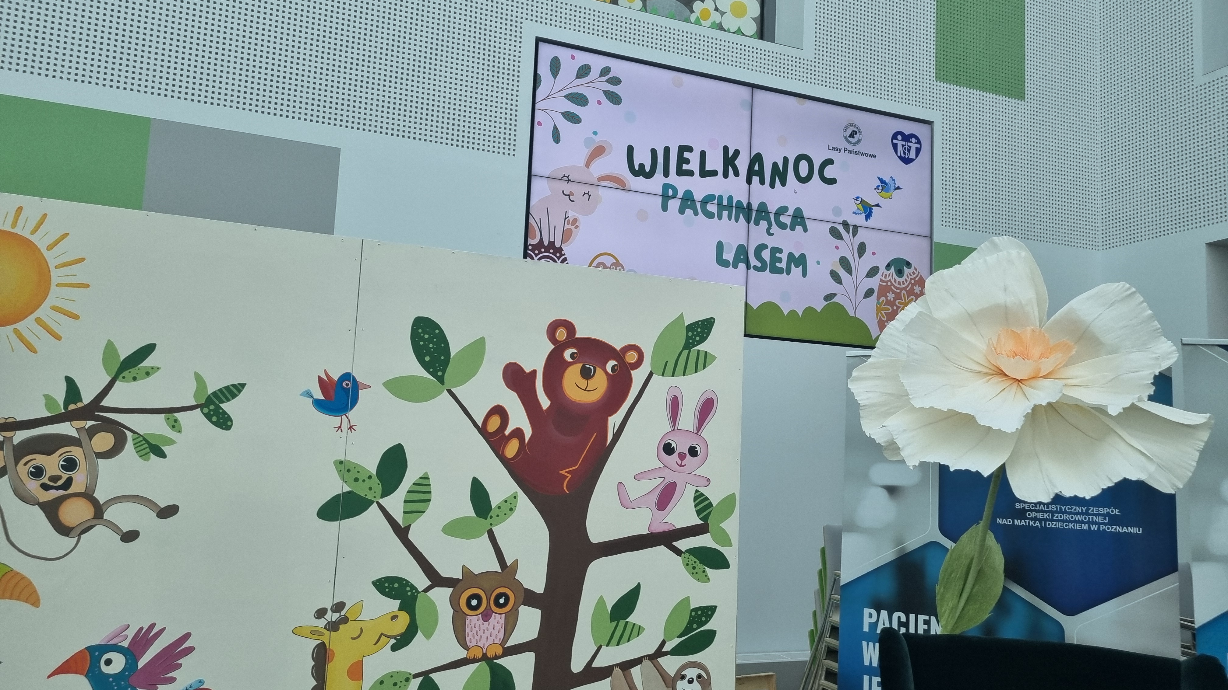 leśnicy w szpitalu - Magdalena Konieczna - Radio Poznań