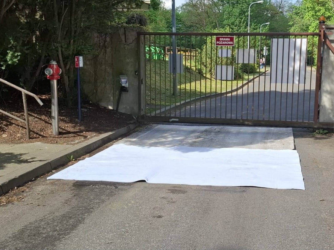 pryszczyca zoo poznań maty - Zoo Poznań Official Site