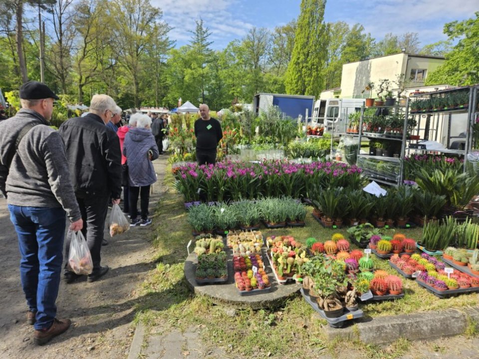 opatówek targi - https://wir.org.pl/