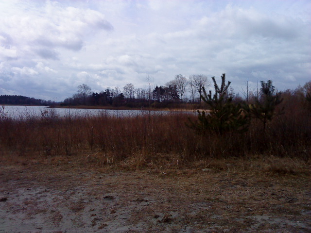 Jezioro Wilczyńskie - wysycha - Emilia Chudzińska