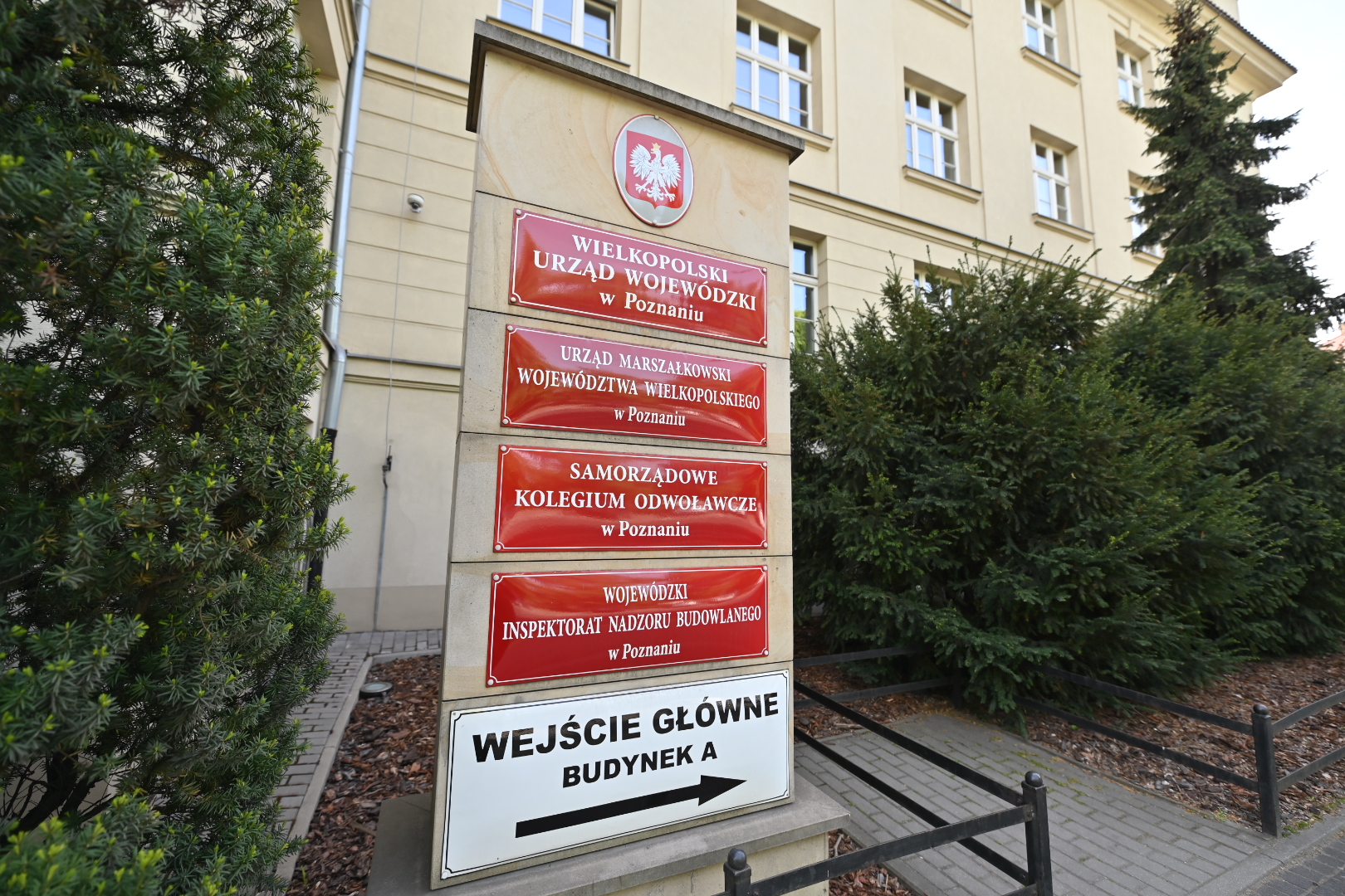 sko - Wojtek Wardejn - Radio Poznań