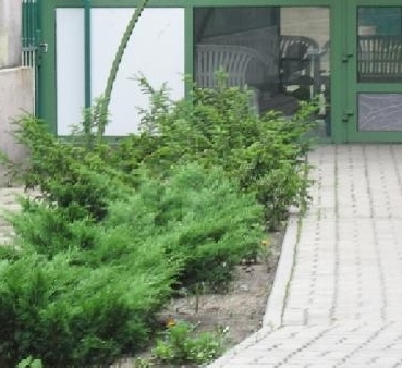 Zielone podwórko - UMP