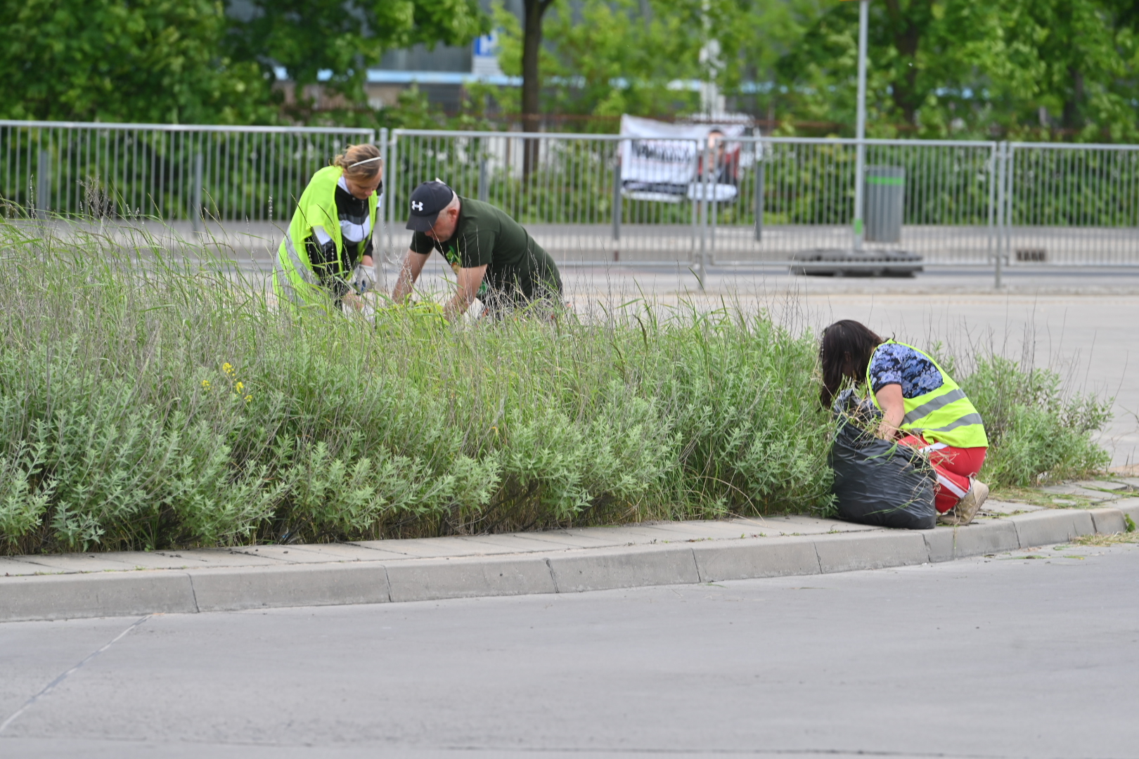 trawnik - Wojtek Wardejn - Radio Poznań