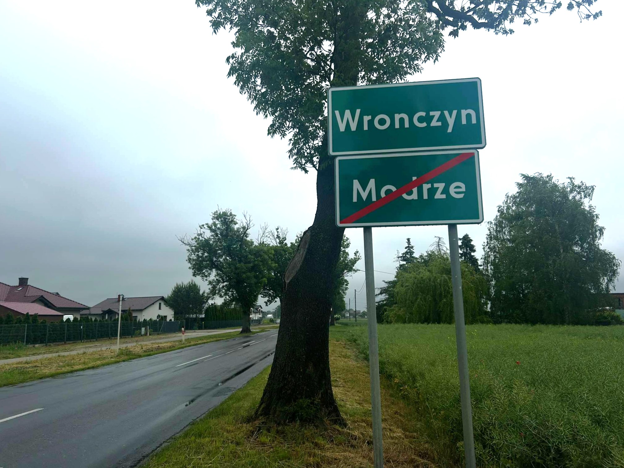 modrze - Szymon Majchrzak - Radio Poznań