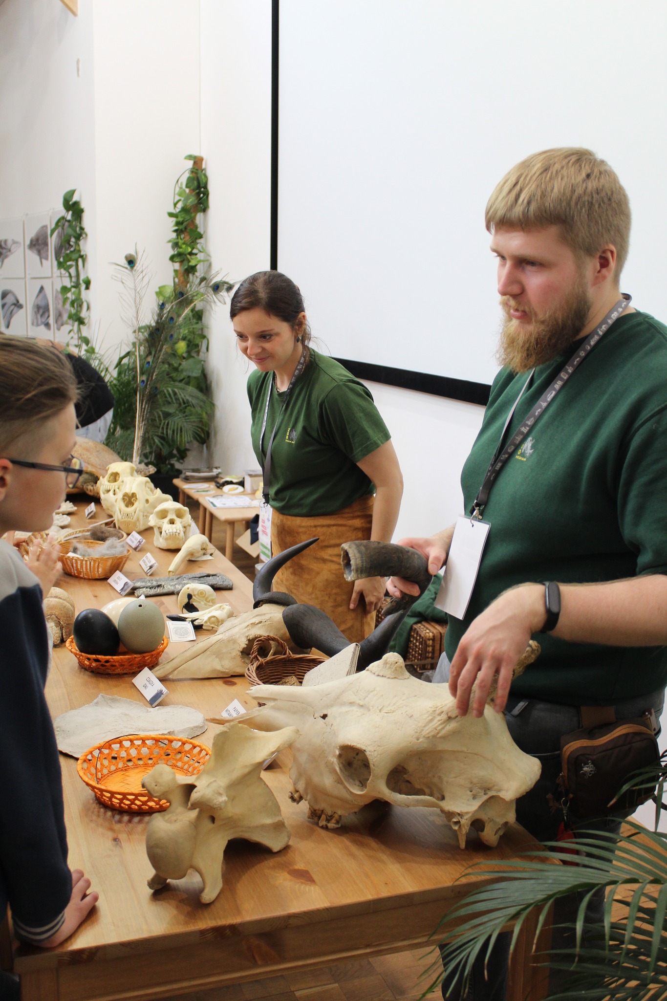 Centrum Inicjatyw Senioralnych