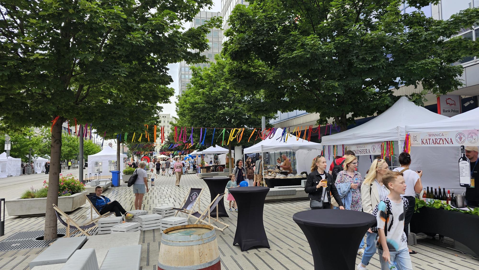 letni święty marcin 2025 - Julian Kozanecki