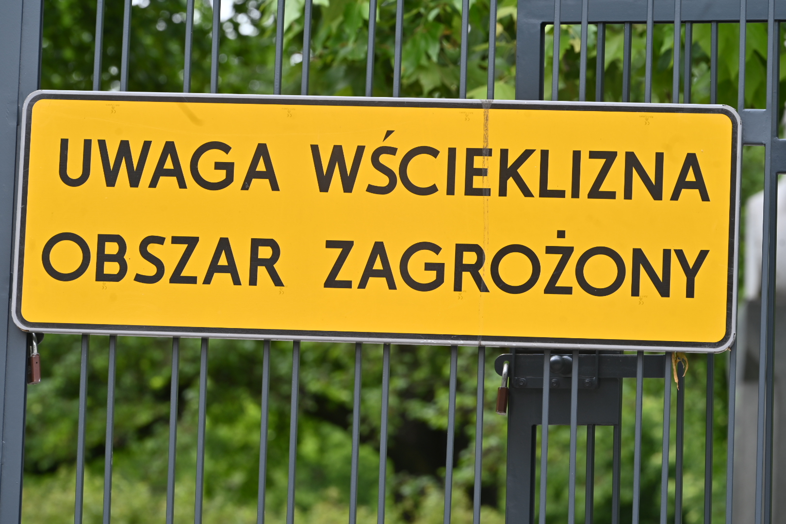 wścieklizna obszar zagrożony - Wojtek Wardejn