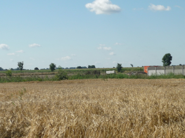 Smród na polu w pobliżu gorzelni - Krzysztof Sadowski