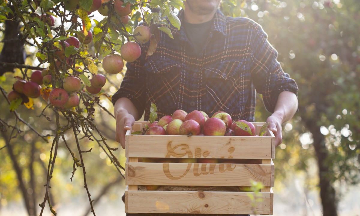 9 (1) - Materiał sponsorowany