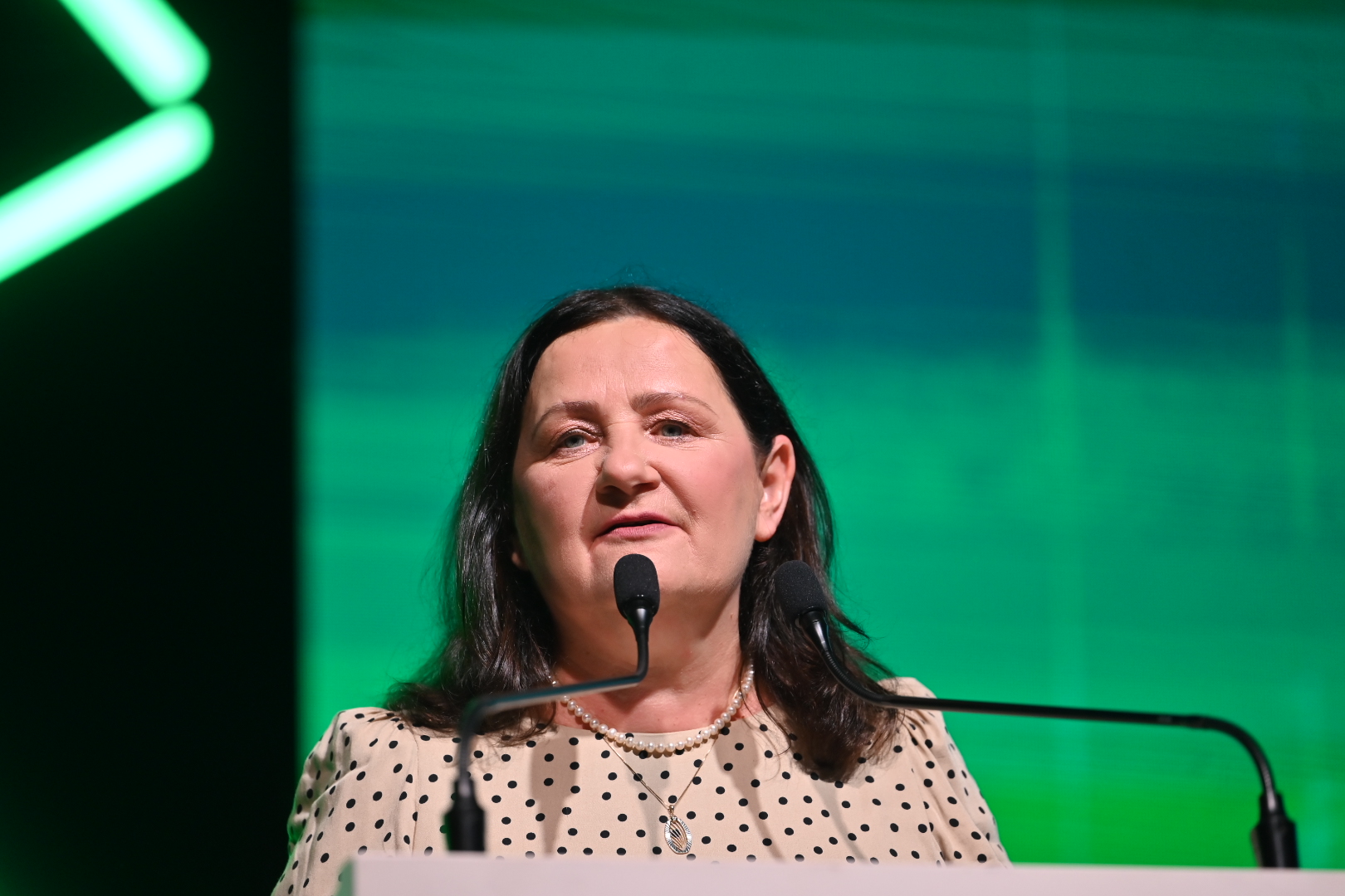 cyfrowa wielkopolska - Wojtek Wardejn - Radio Poznań