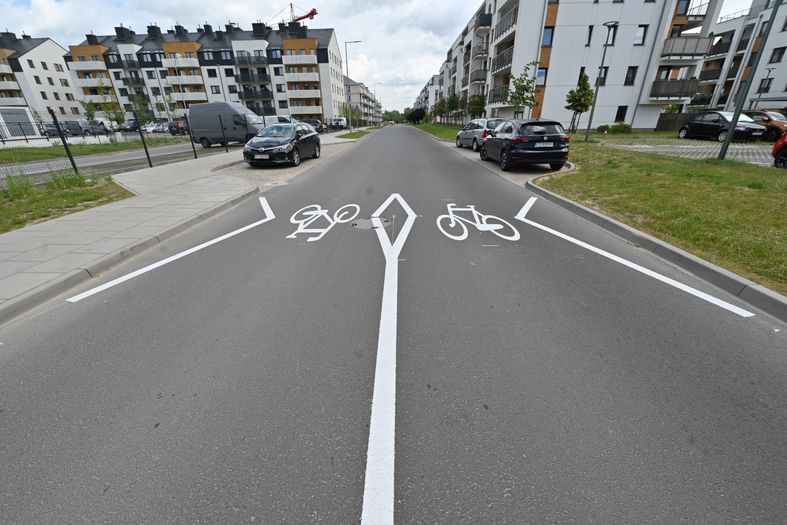 Karpia sielawy - Wojtek Wardejn - Radio Poznań