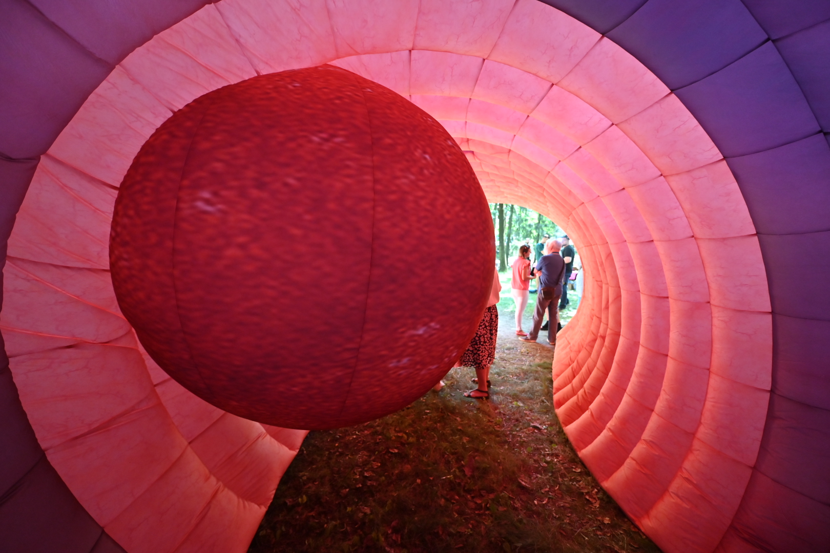 jelito model - Wojtek Wardejn - Radio Poznań