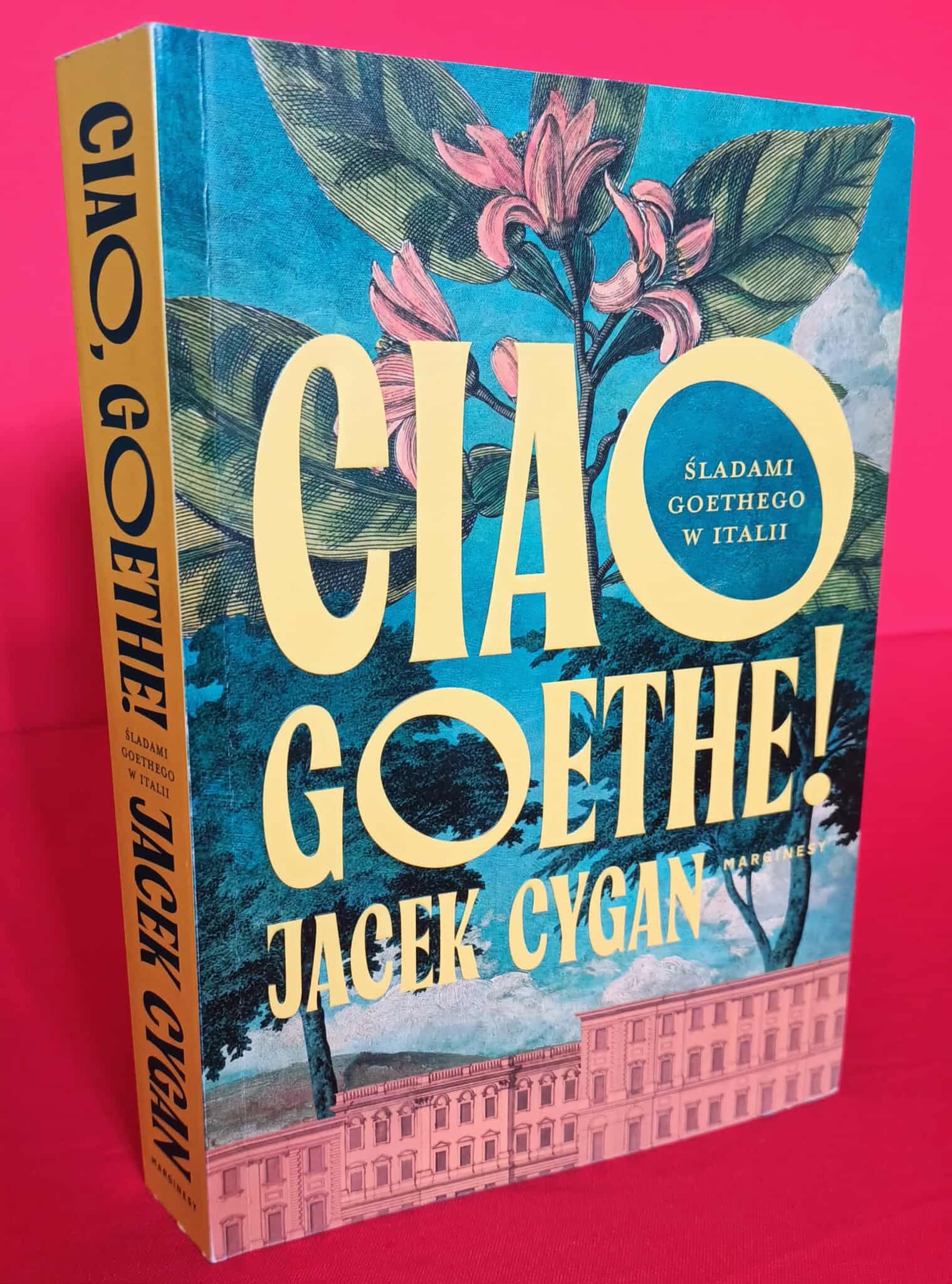 książka - Joanna Divina