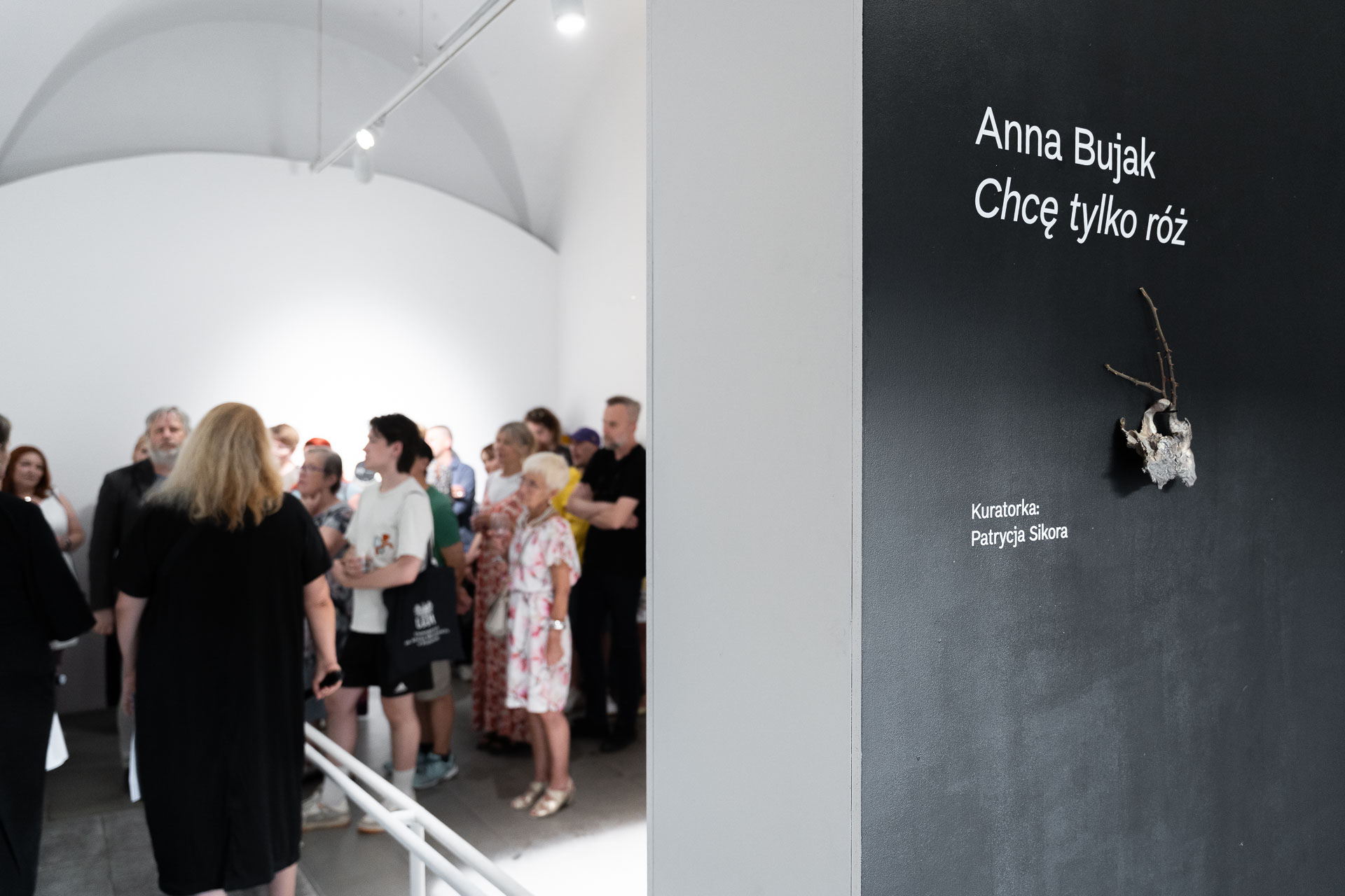 Chce-tylko-roz-media-1 - Organizator