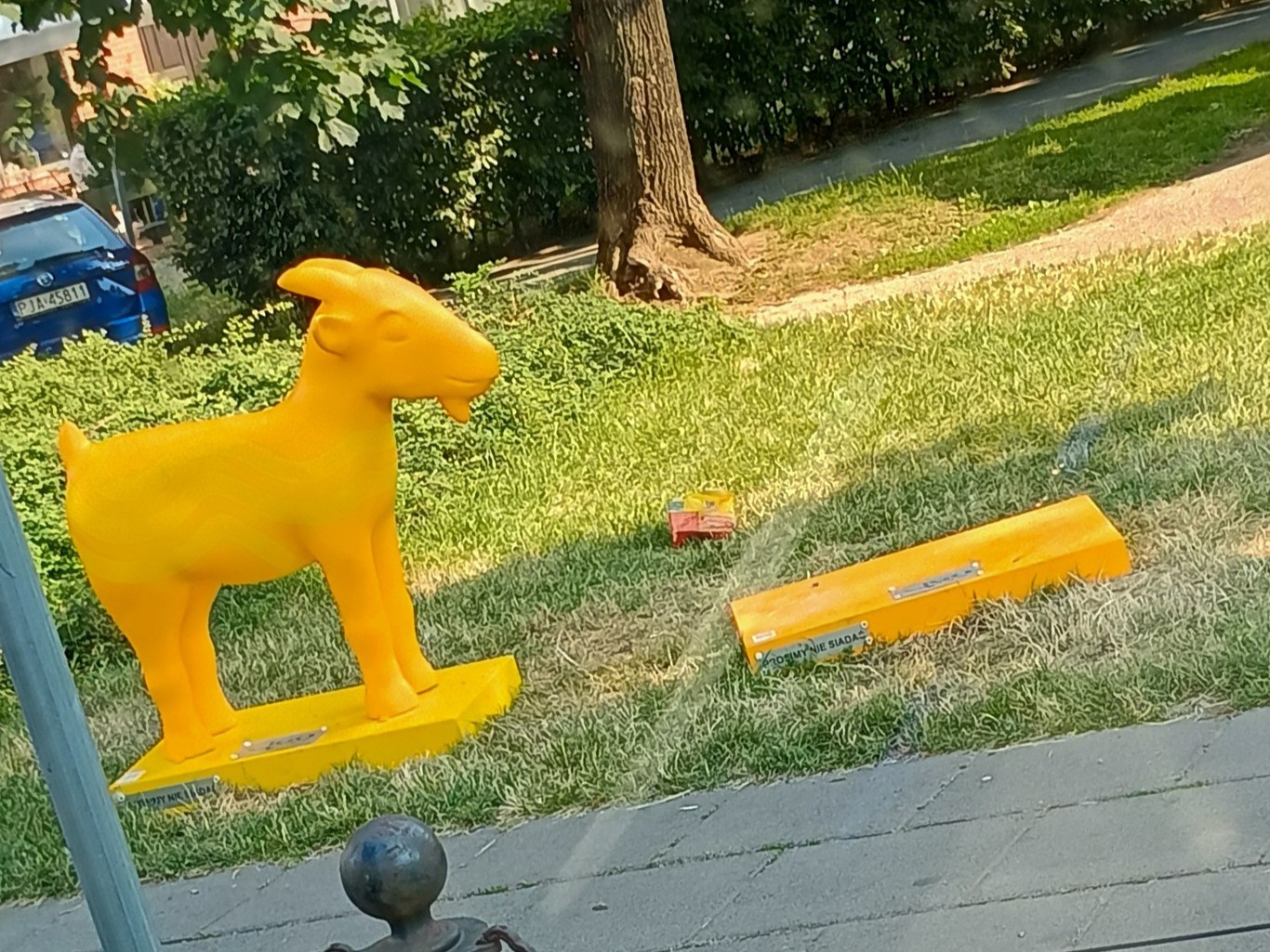 skradziony koziołek - Aquanet SA