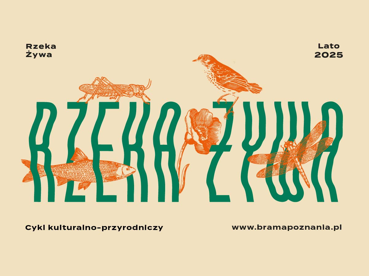 rzeka_25_1200x900 - Organizator