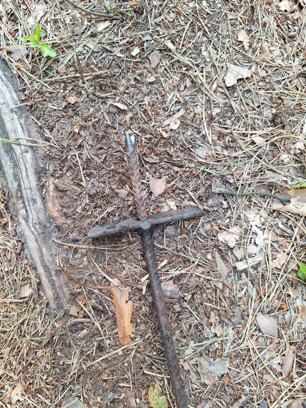 Nadleśnictwo Trzcianka