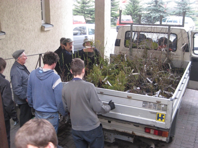 dąb za monitor - Rafał Regulski