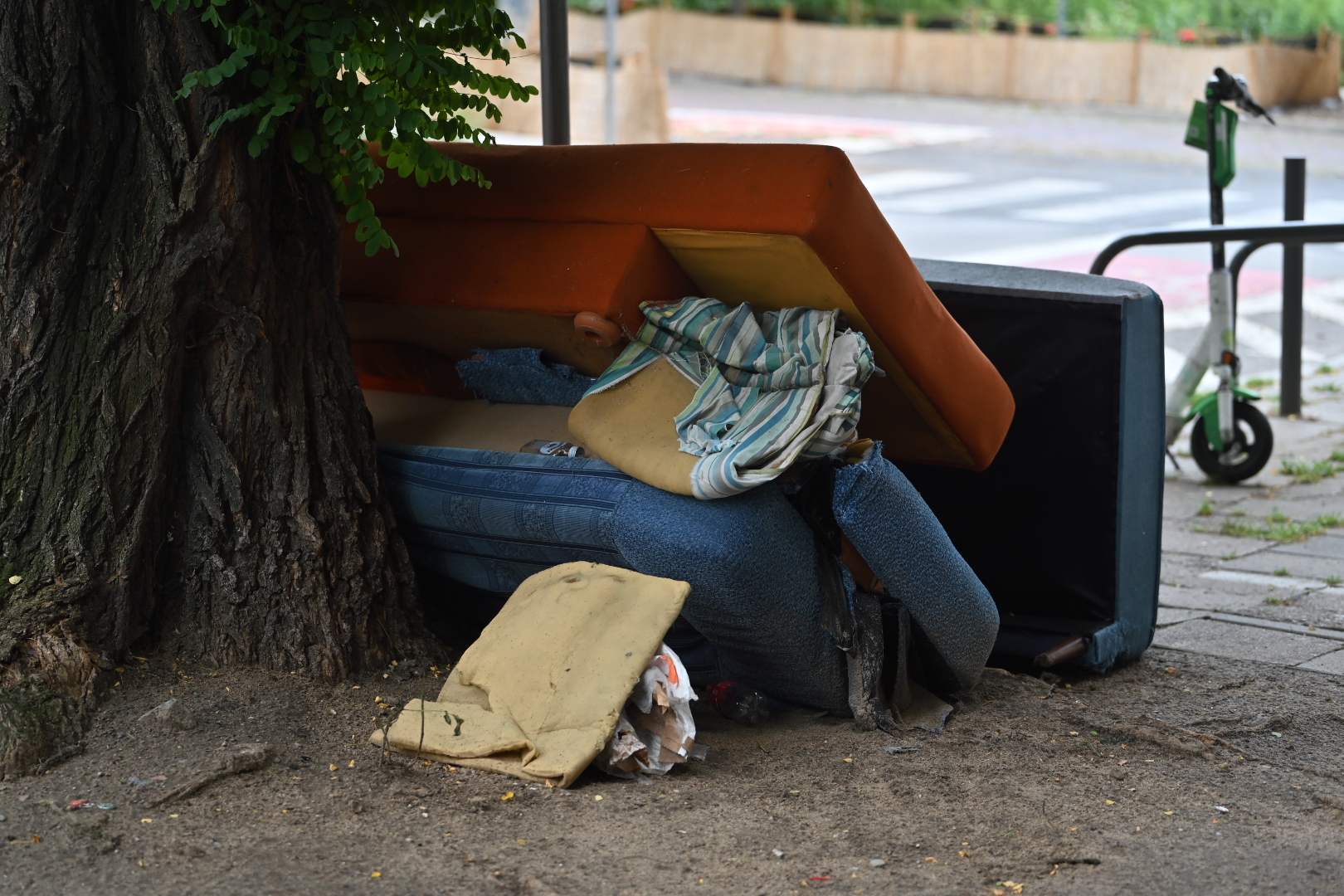 Gabaryty na Wildzie - Wojtek Wardejn - Radio Poznań