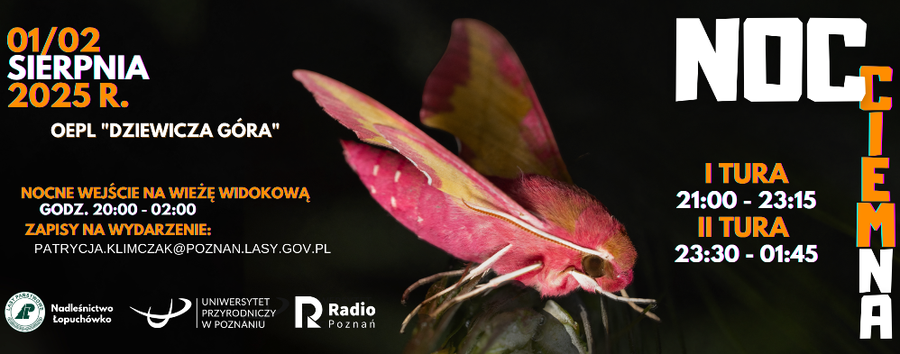 VI edycja NOCy CIEMnej - Organizator