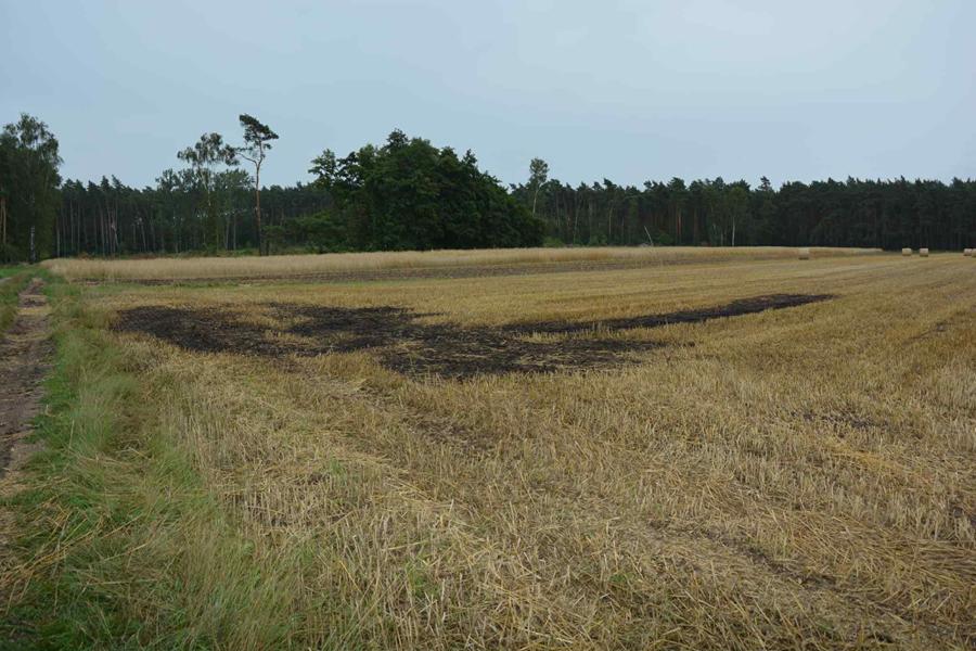 gostyń poniec podpalenie zboże - KPP Gostyń