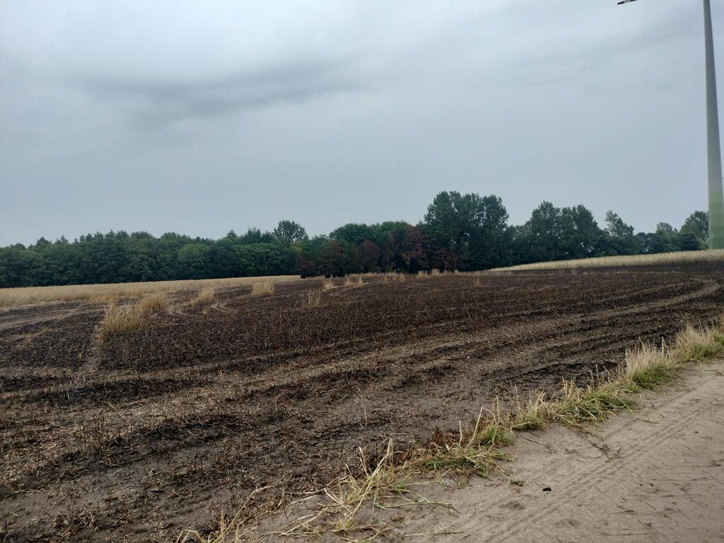 Podpalenie - Bartłomiej Klupś - Radio Poznań