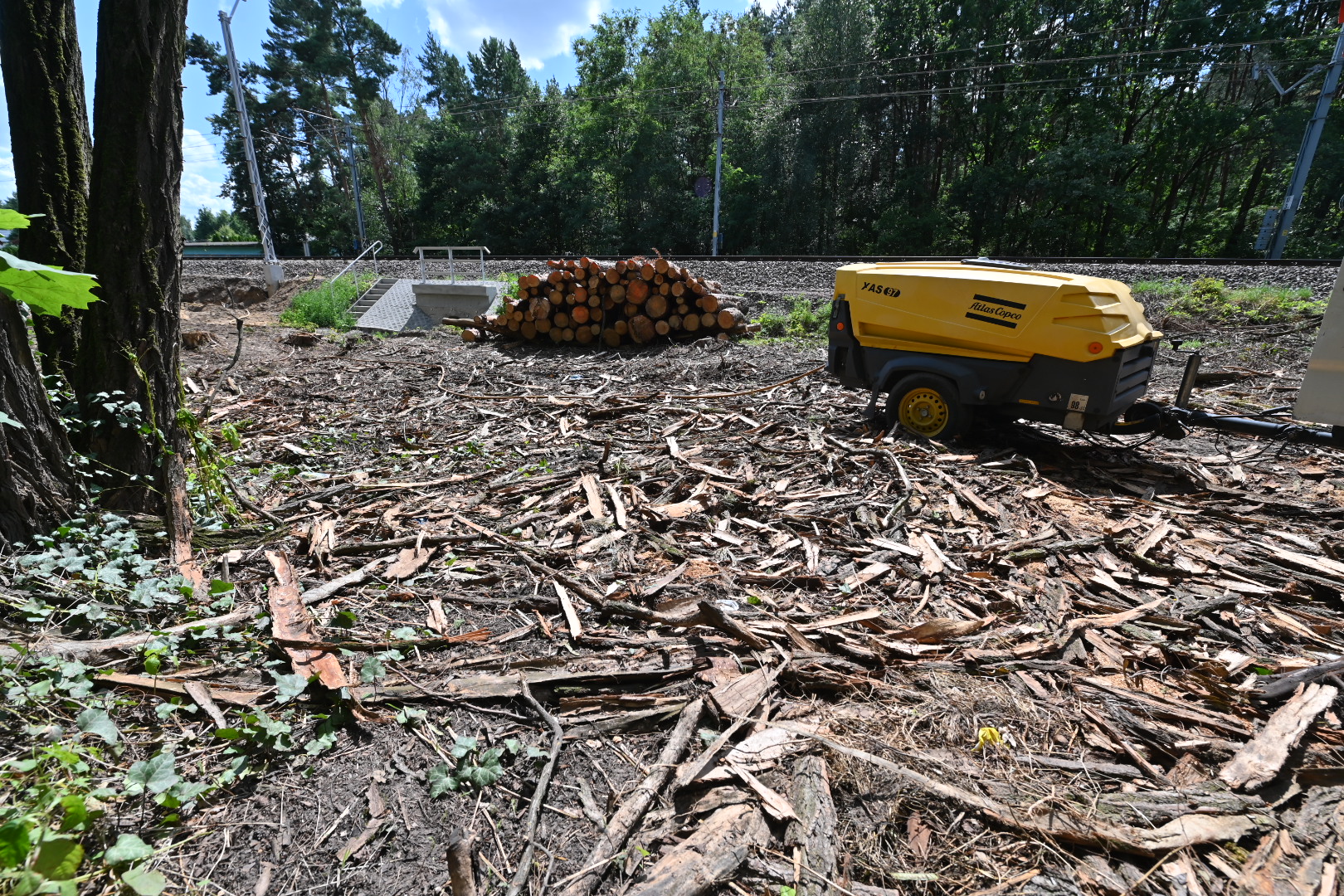 wycinka drzew naramowice kolejowa obwodnica poznania  - Wojtek Wardejn - Radio Poznań