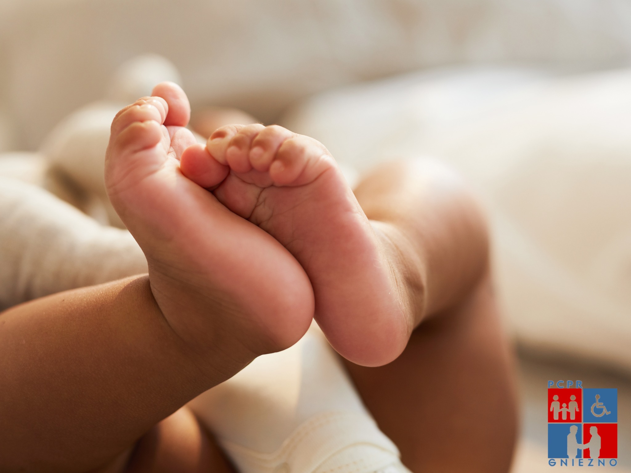 PCPR Gniezno - PCPR Gniezno