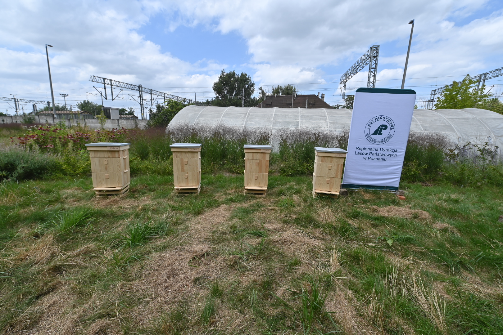 warsztaty z pszczelarstwa bezdomni - Wojtek Wardejn