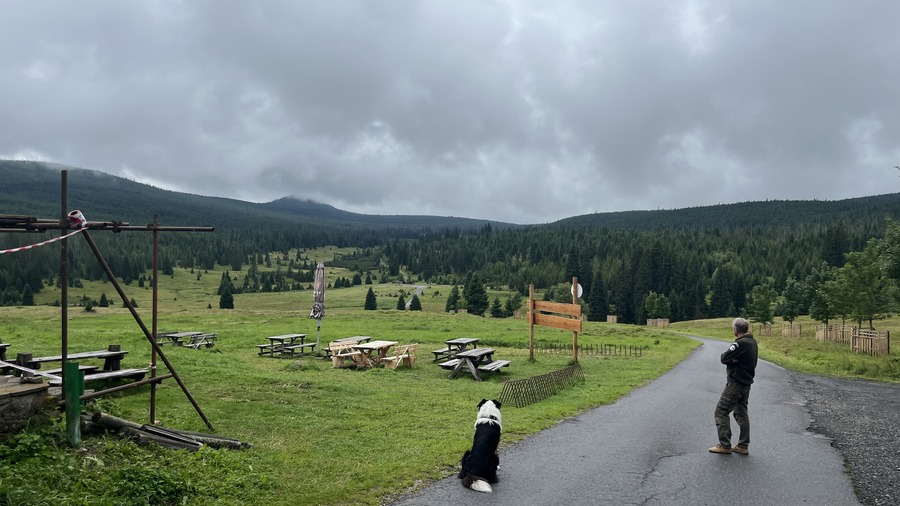 Wojciech Chmielewski