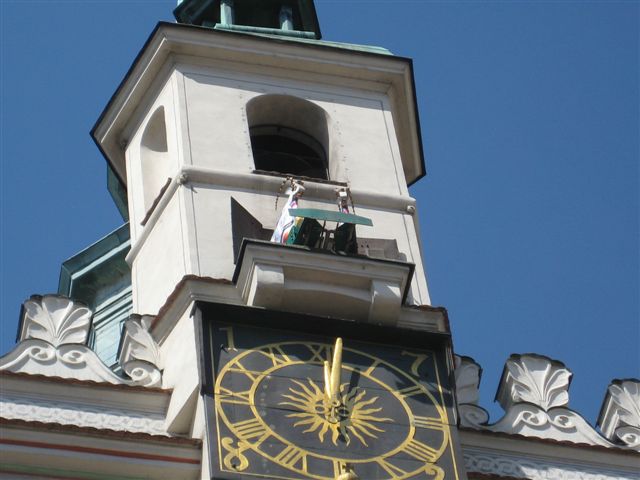 Puchar Euro w ratuszu - Magda Konieczna