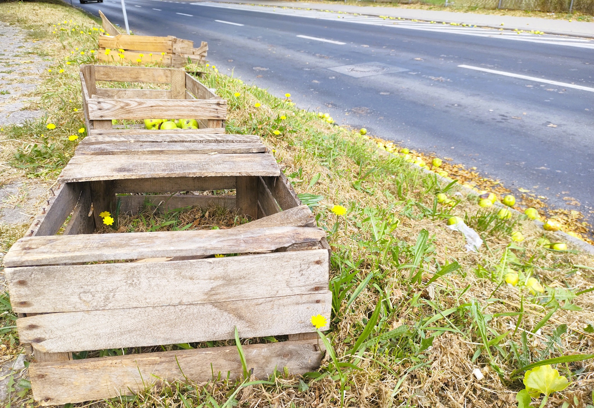 Komenda Powiatowa Policji w Śremie 