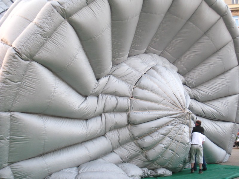 Agnieszka Maciejewska