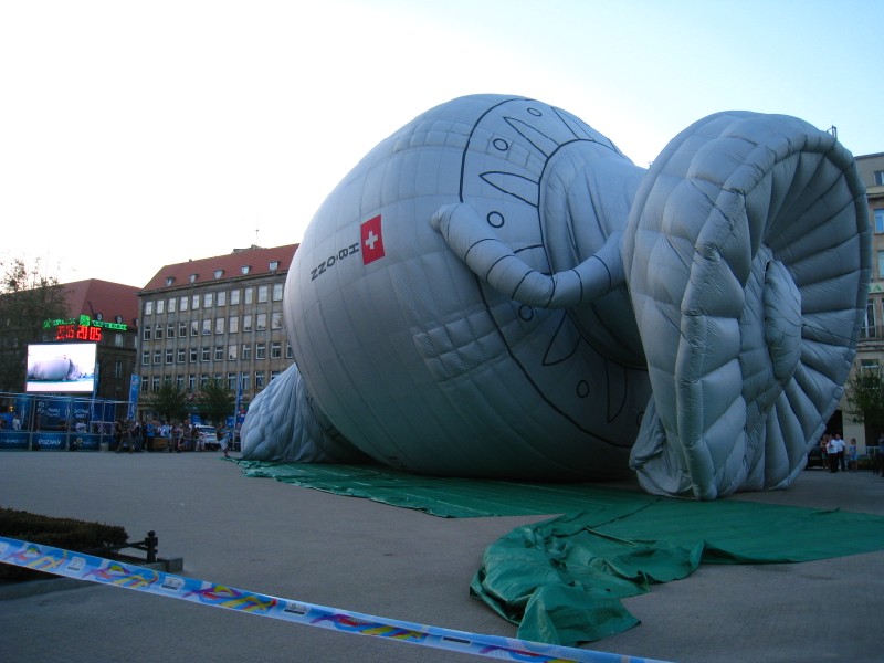 Agnieszka Maciejewska