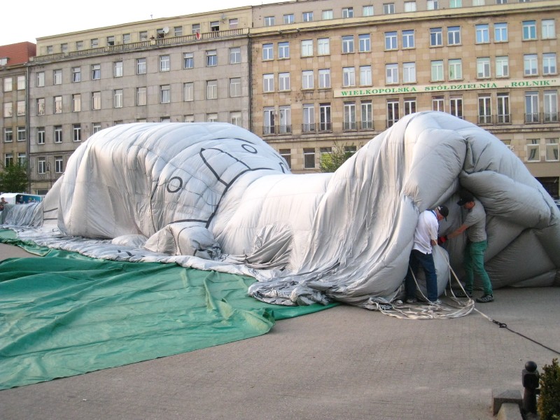 Agnieszka Maciejewska