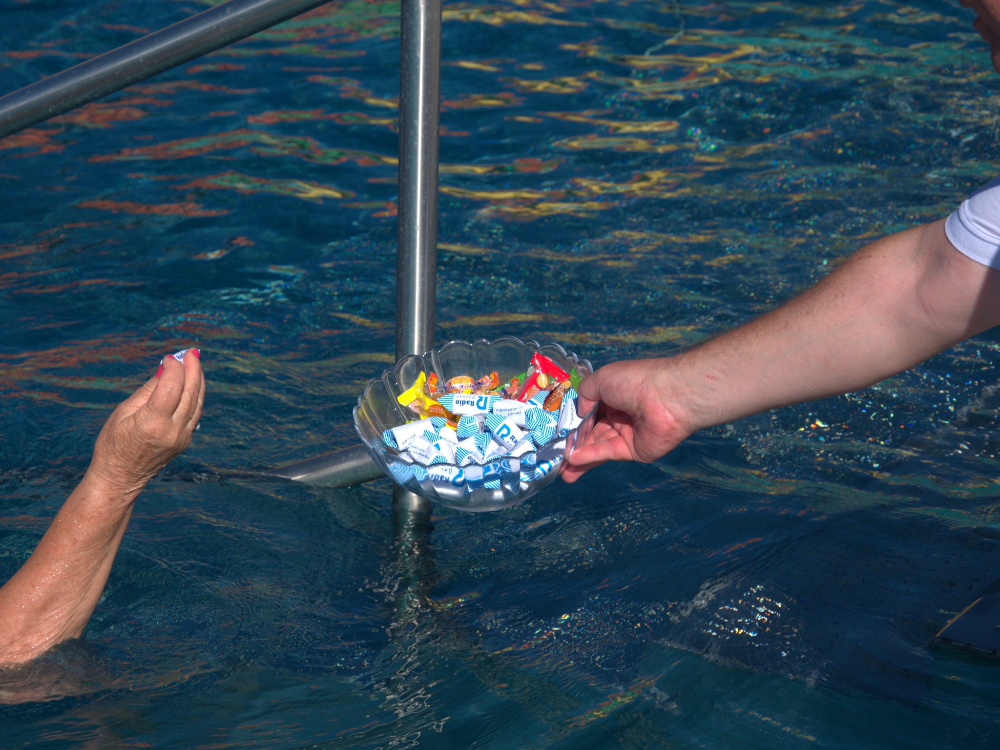 termy - Alicja Kotewicz - Radio Poznań