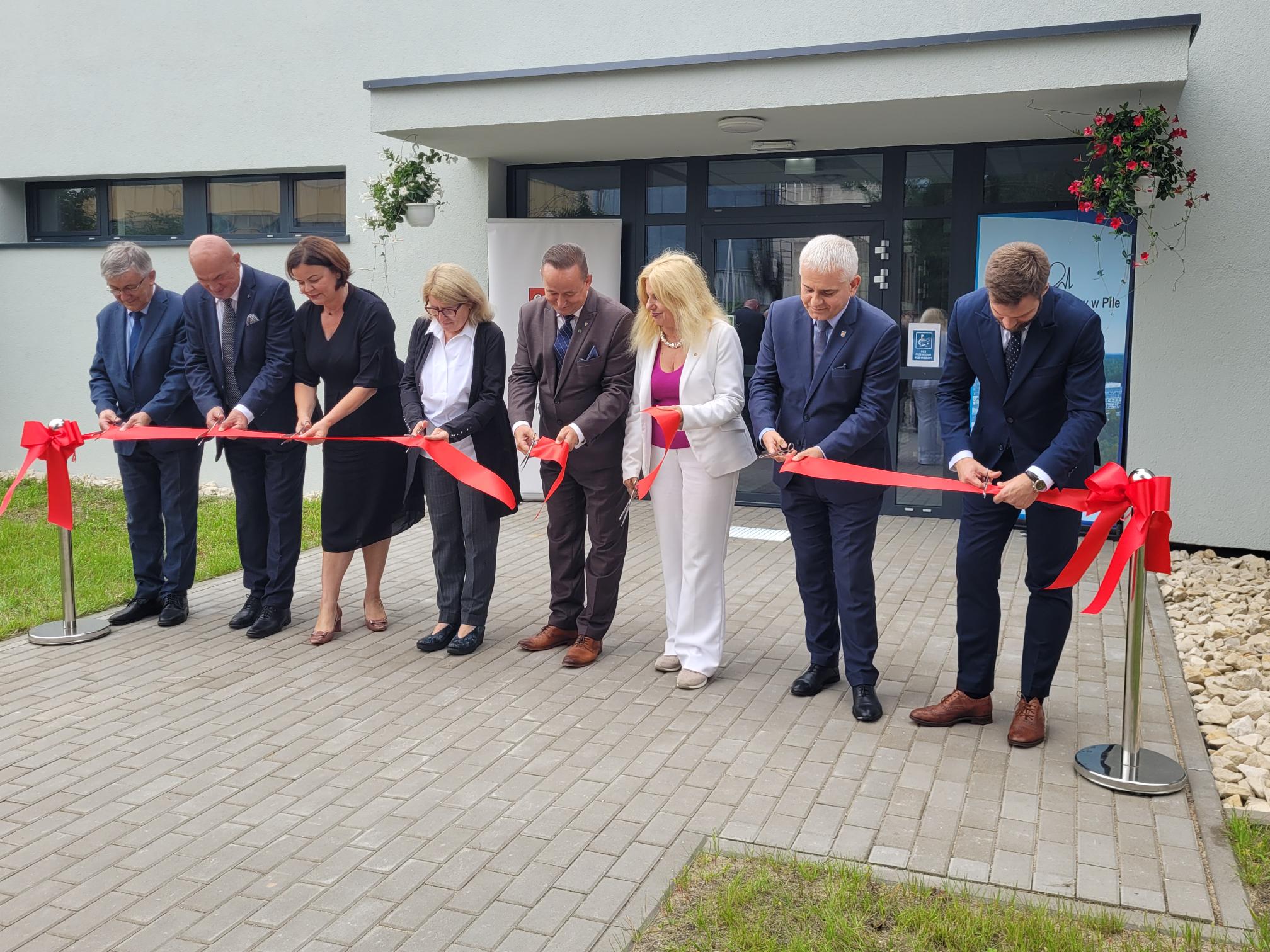 prosektorium piła - Marek Wolski