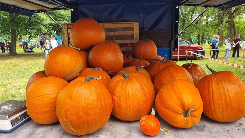 Dzień Korbola - Magdalena Konieczna - Radio Poznań