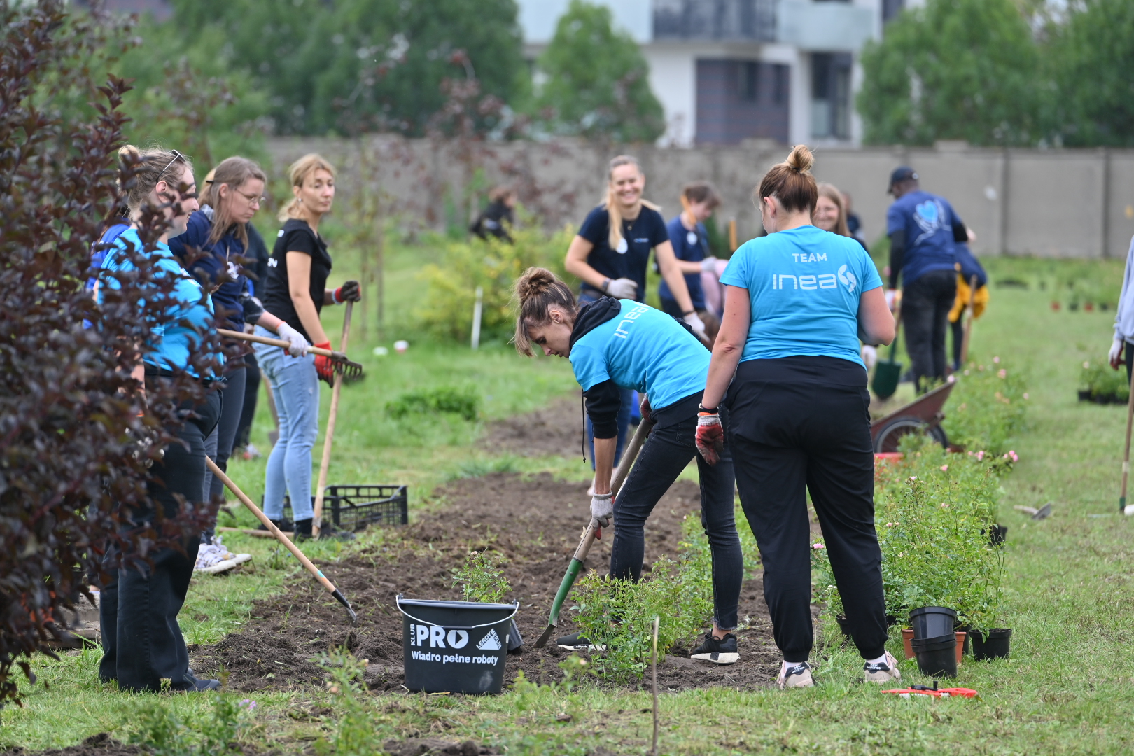 Wolontariat - Wojtek Wardejn - Radio Poznań