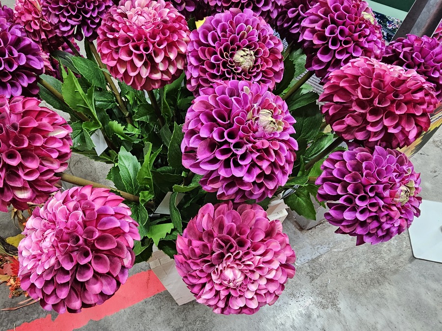 jesienna gala glorystyczna gildia jesień - Julian Kozanecki - Radio Poznań