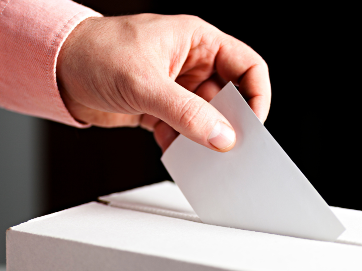 głosowanie - gettysignature - Canva