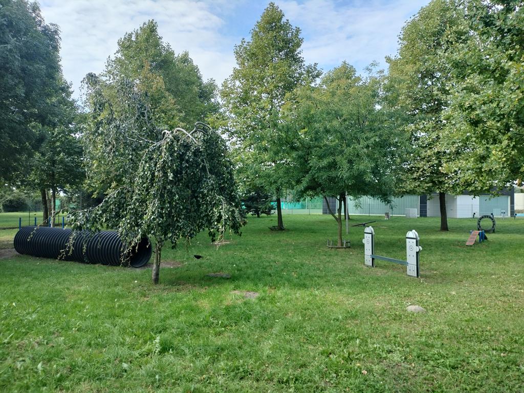 wybieg dla psów leszno  - Bartłomiej Klupś - Radio Poznań