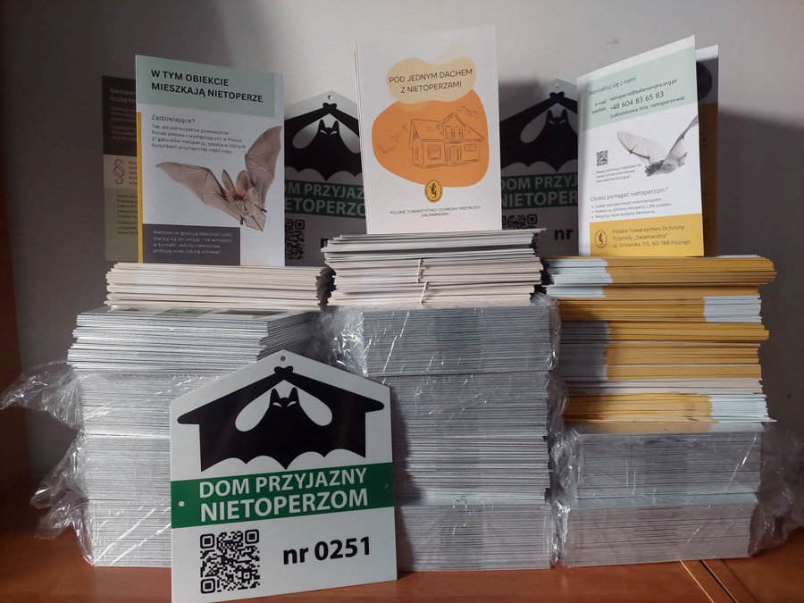 Salamandra nietoperze dom przyjazny - PTOP Salamandra