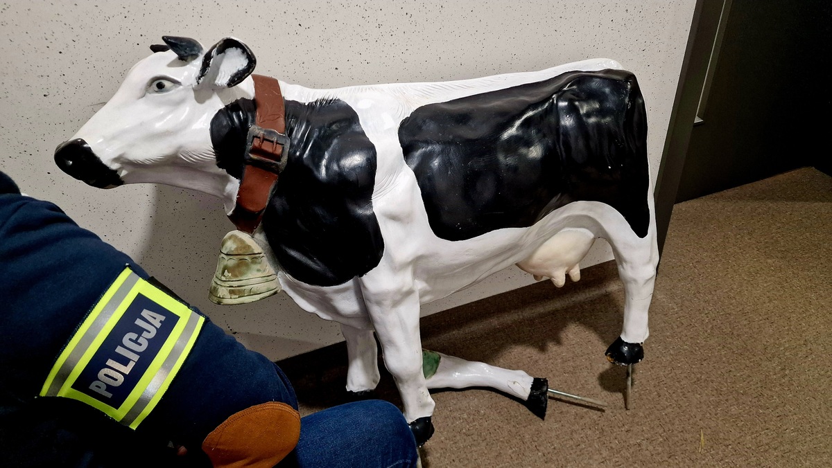 krowa ukradziona - Policja Kalisz 