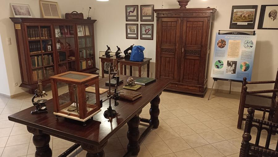 muzeum roberta kocha wolsztyn - Urząd Miejski w Wolsztynie